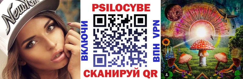 Купить  Асино  Галлюциногенные грибы Cubensis 